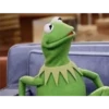 Kermit the frog part 3(Feat. Gerry) 29