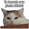 Memes uwu 16 29