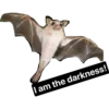 I am the darkness!