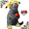 kittens 28