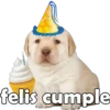 felis cumple