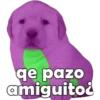 qe pazo
amiguitoi