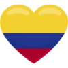 Bandeira da Colombia 8