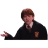 Harry potter memes 28