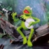 Kermit the frog part 1 (Feat. Gerry) 30
