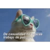 Tumblr con Frases Verga.
De casualidad no buscas
trabajo de patrona?