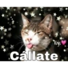 Gatitos ^~^ (by Krys) 28