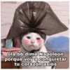 Timeles_coquetos
ola bb dime Napoleon
porque voy a conquistar
tu corazón asies
