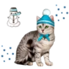 ●●●