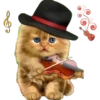$