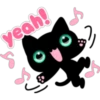 Black cat 6