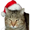 Especial Navidad 8