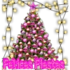 Rosa Navidad 7