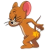 Tom y Jerry 5