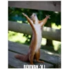 ️XD!!️1 7