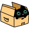 Black cat 9