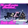 Rosa Navidad 11