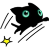Black cat 10