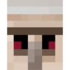 Minecraft 8