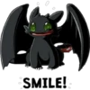 Dragon 13