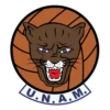 Pumas 7