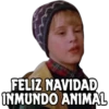 Especial Navidad 12