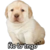 No lo tngo