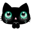 Black cat 12