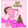Rosa Navidad 15