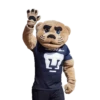 Pumas 8