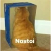 Nostoi