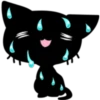 Black cat 13