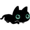 Black cat 15