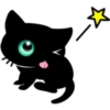 Black cat 16