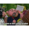 Este csmre es kbro y tengo pruebas
-