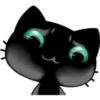 Black cat 19