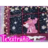 Rosa Navidad 18