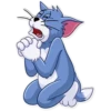 Tom & Jerry. 13