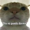 Ola no puedo dormir
