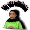 Ludoviquito peluche (soy) 13