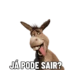 PICM OEME
JÁ PODE SAIR?