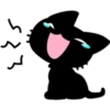 Black cat 21