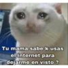 Tu mama sabe k usas
el internet para
dejarme en visto ?