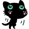 Black cat 23