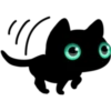 Black cat 24