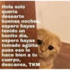 Hola solo
quería
desearte
buenas noches,
espero hayas
tenido un
bonito día,
espero hayas
tomado agüita
pues eso le
hace bien a tu
cuerpo,
descansa, TKM