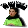 Ludoviquito peluche (soy) 19