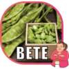 BETE bo