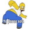 Yo perreo sola