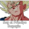 Dragón Ball 20